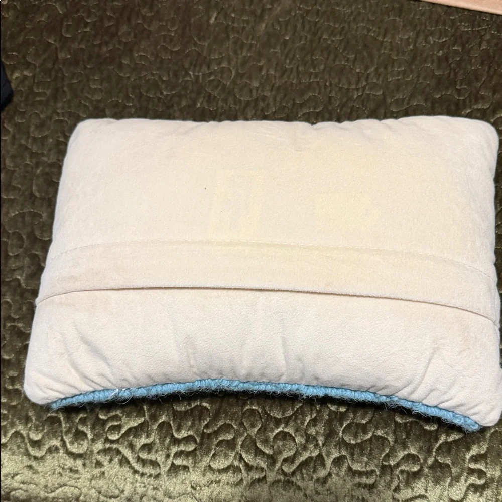 T.J.Maxx Light Blue 'Queen' Accent Pillow with Red, Purple, and Gold Details